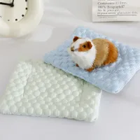 Small Pet Cooling Pad - Ice Silk Bed Mat thumbnail 1