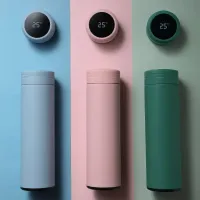 Smart Temperature Display Water Bottle thumbnail 2