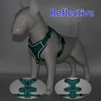 No-Pull Dog Harness & Leash Set thumbnail 4
