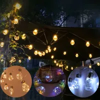 LED Clear Bulb String Lights thumbnail 1
