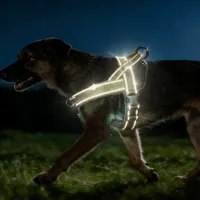 No-Pull Tactical Dog Harness Large thumbnail 4