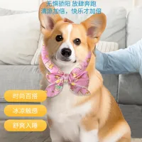 Cute Print Dog Cooling Collar thumbnail 2