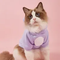 Winter Sphynx Cat Hoodie Sweater thumbnail 3