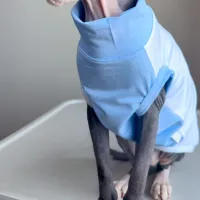 Sphynx Cat Cooling Mesh Vest thumbnail 2