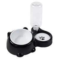 2-in-1 Tilted Elevated Pet Water & Food Bowl thumbnail 6