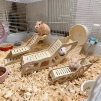 Hamster Wooden Hideout Cave Toy thumbnail 2