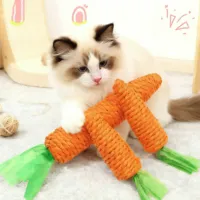 Cat Teething Sound Carrot Toy thumbnail 1