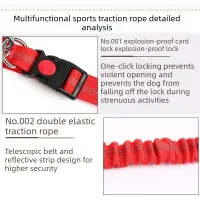 Hands-Free Adjustable Dog Leash Waist Belt thumbnail 4