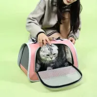 Foldable Pet Carrier Travel Bag thumbnail 4