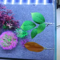 Betta Fish Leaf Hammock with Plant thumbnail 4