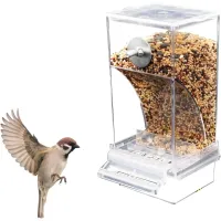 Automatic Parrot Feeder Drinker thumbnail 3