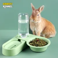 Small Pet Auto Feeder Food Bowl thumbnail 1