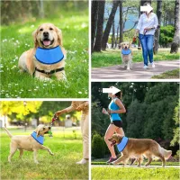 Summer Cooling Ice Collar for Pets thumbnail 6