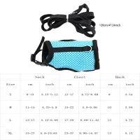 Breathable Small Pet Harness & Leash Set thumbnail 5