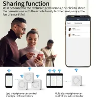 16A WiFi Smart Switch with Alexa/Google Home thumbnail 4