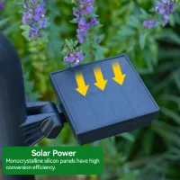 Solar Pathway Lights - Warm White thumbnail 6