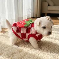 XXS Puppy Kitten Winter Sweater thumbnail 1