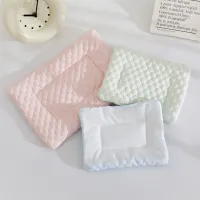 Small Pet Cooling Pad - Ice Silk Bed Mat thumbnail 4