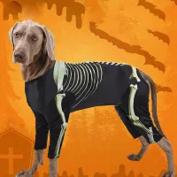 Skeleton Dog Halloween Costume Large thumbnail 2