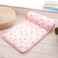 Pet Cooling Mat & Ice Pad thumbnail 3