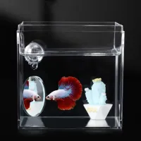 Floating Betta Fish Tank Mirror thumbnail 5