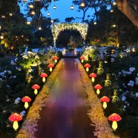 Solar Mushroom Fairy Lights thumbnail 6