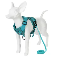 Adjustable Reflective Pet Harness & Leash Set thumbnail 6