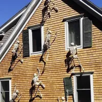 Halloween Skeleton Decoration Prop thumbnail 5