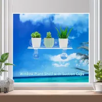 15" Suction Cup Plant Window Shelf thumbnail 2