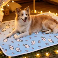 Cute Cartoon Pet Cooling Mat thumbnail 4