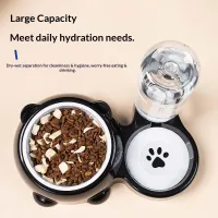 2-in-1 Tilted Elevated Pet Water & Food Bowl thumbnail 4