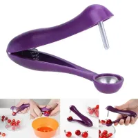Multi-Functional Fruit Pit Remover thumbnail 2
