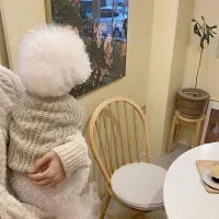 Warm Wool Puppy Dog Sweater Costume thumbnail 1