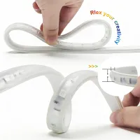220V RGB LED Strip Light Kit with Remote thumbnail 2