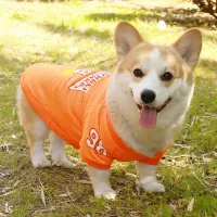 LA Style Dog Cooling Vest thumbnail 5