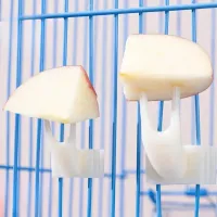5pcs Bird Cage Fruit Forks Set thumbnail 1