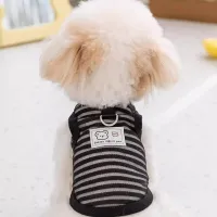 Summer Cooling Vest for Small Dogs thumbnail 3