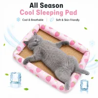 Summer Linen Rattan Pet Cooling Mat thumbnail 3