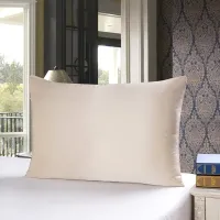 19 Momme Mulberry Silk Pillowcase thumbnail 2