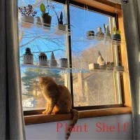 Acrylic Window Plant Shelves thumbnail 3