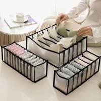 Foldable Underwear & Bra Organizer thumbnail 2