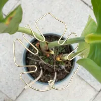 Large Hanging Plant Stand with Iron Hooks thumbnail 3