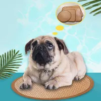 Summer Pet Cooling Mat thumbnail 6