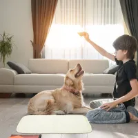 Pet Cooling Mat - Summer Comfort Pad thumbnail 2