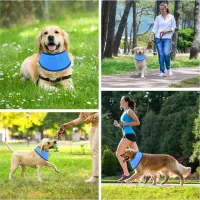 Cooling Bandana for Dogs thumbnail 4