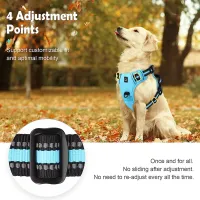 No Pull Padded Dog Harness with Control Handle thumbnail 5