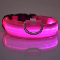 LED Glow in the Dark Dog Leash & Collar thumbnail 4