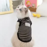 Dog Cooling Vest for Summer thumbnail 5