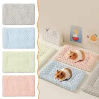 Small Pet Cooling Pad thumbnail 3
