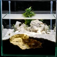 3D Printed Natural Rock Pet Hide thumbnail 2